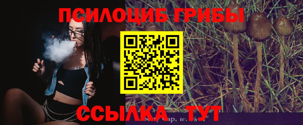 Псилоцибиновые грибы мицелий Надым