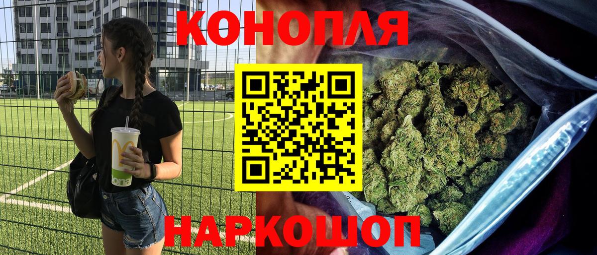 Каннабис сатива Надым